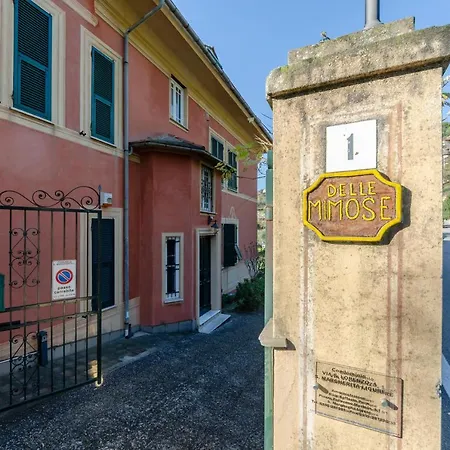 Altido Il Cigno *